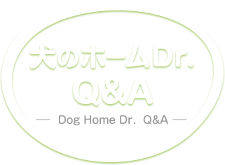 犬のホームDr.Q&A